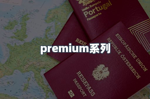 premium系列