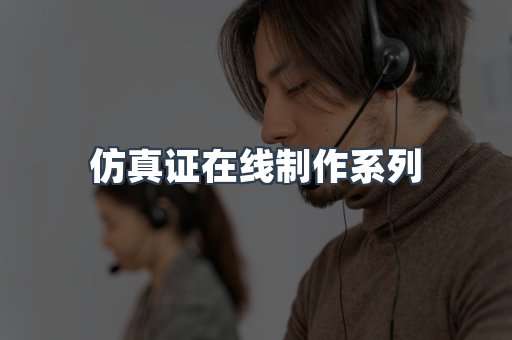仿真证在线制作系列