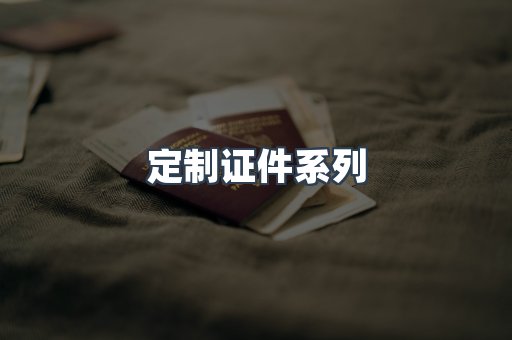 定制证件系列